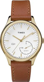 Chytré hodinky Timex iQ+ TWG013600