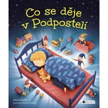 Co se děje v Podpostelí - Ondřej Dolejší