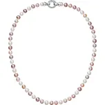 Evolution Group 22004.3