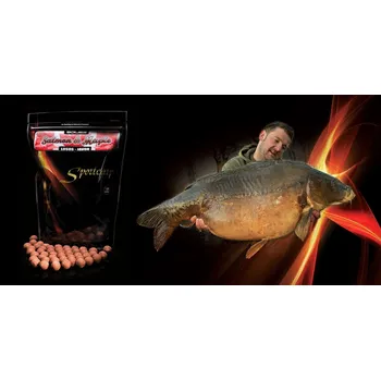 Boilies Sportcarp boilies Salmon Maple 1 kg průměr: 20 mm