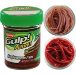 Berkley Gulp Alive Angleworm/Ver žížaly hnojňák 5 cm - 60 ks barva: Brown
