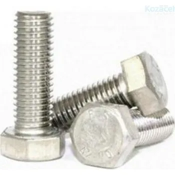 WT WINTECH Šroub M10x 90mm 6hr hlava ZB 100ks (odběr bal.50ks)