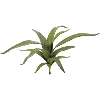 umělá květina Umělý kaktus Aloe vera, zelená, 66cm