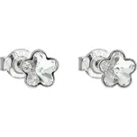 Evolution Group 31080.1