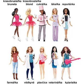 Barbie První povolání, Mix druhů