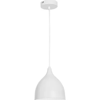 Luminex Noak Young LU9427