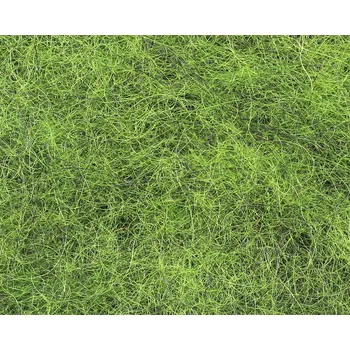 Nymph Dubbing Rich Olive