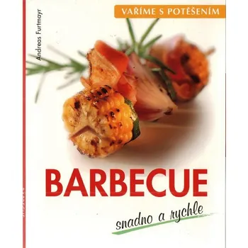 Vaříme s potěšením: Barbecue snadno a…
