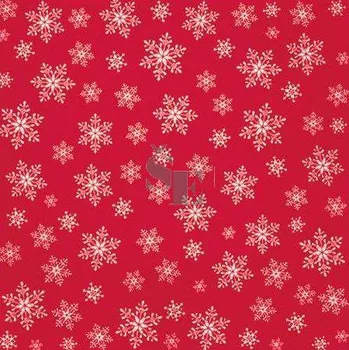 Papírový ubrousek Papírové ubrousky VÁNOČNÍ SDC 195009 33/3/20 Stars Everywhere červené, Paw