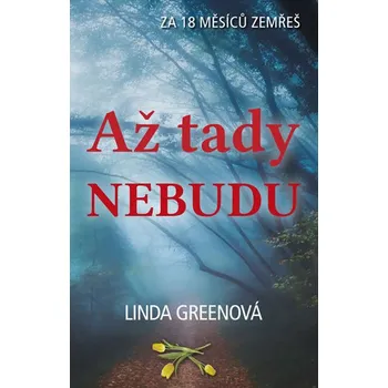 Až tady nebudu - Linda Green