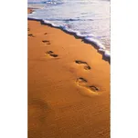 Dimex MS-2-0193 150 x 250 cm