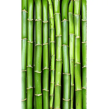 Fototapeta Dimex MS-2-0165 150 x 250 cm