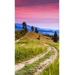 DIMEX MS-2-0061 150 x 250 cm