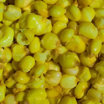 Návnadová surovina LK Baits IQ Method Feeder Mega Corn Obří kukuřice 1kg