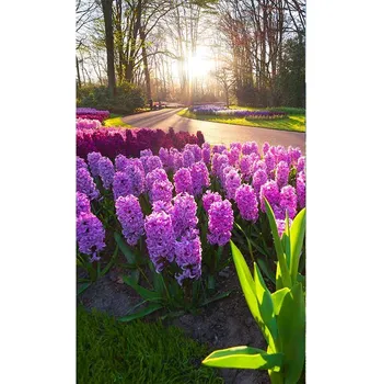 Fototapeta DIMEX  MS-2-0068 150 x 250 cm