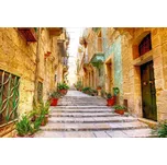 DIMEX MS-5-0047 375 x 250 cm