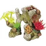 Nobby korálový kámen 11 x 7 x 8,5 cm