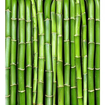 DIMEX MS-3-0187 225 x 250 cm, bambus