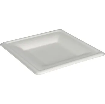 Jednorázové nádobí Talíř čtvercový BIO cukrová třtina 160 x 160 mm (50 ks)