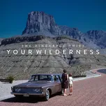 Your Wilderness - Pineapple Thief [LP]