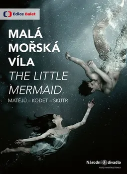 Česká hudba Malá mořská víla – Různí interpreti [DVD]