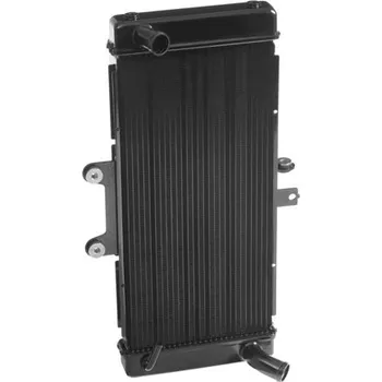 Chladič motoru Chladič motocyklu QTECH pro SUZUKI GSF 1250 Bandit A ABS 2007-2012 (Chladič na motorku)