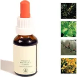 Bachovy kapky - Únava, uzdravovaní