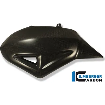 Tlumič řízení Kryt kyvné vidlice zadní - Ducati Diavel