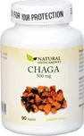 Natural Medicaments Chaga 500 mg 90 cps.