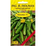 Ing. Bohuslav Holman Okurka nakládačka…