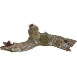 Lucky Reptile Korek Rustica