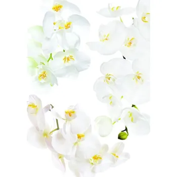 Samolepící dekorace Samolepka na zeď orchidea 65x85cm F1068