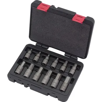 Bit Hlavice zástrčné 1/2", Imbus s hrotem H5-H22, S2, sada 12 dílů, Welzh (Welzh Werkzeug)