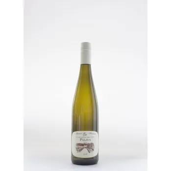 Víno Víno Pálava 2019 výběr z hroznů Vinice Hnanice 0,75 l sladké