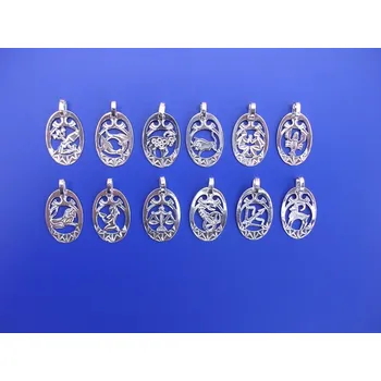 Přívěsek Znamení ovál velký Z251, Materiál: Stříbro, ryzost 925/1000