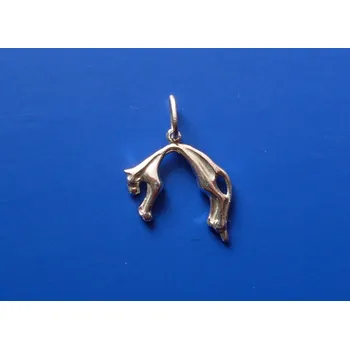 Přívěsek Přívěsek puma Z218, Materiál: Stříbro, ryzost 925/1000