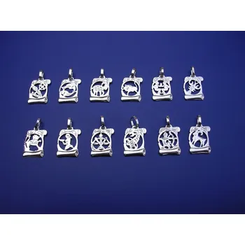 Přívěsek Znamení pergamen malý Z189, Materiál: Bílé zlato, ryzost 585/1000