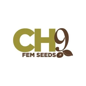 Semeno CH9 seeds Super Haze Počet ks Feminizované: 3