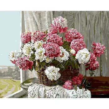 Gaira Pivoňky M1365