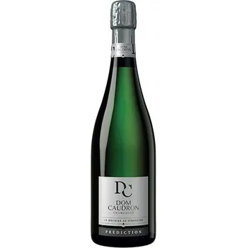Víno Champagne Dom Caudron Prédiction Brut 0,75 l francouzské šampaňské