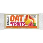 BioTechUSA Oat & Fruits 70 g