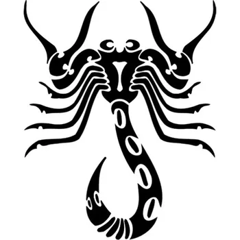 Samolepicí dekorace na vozidlo Samolepka dekorace štíra na auto a motorku, tuning nálepka (3430)