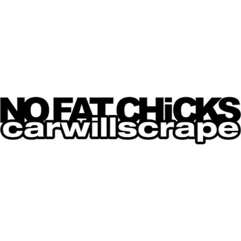 Samolepicí dekorace na vozidlo Samolepka Not Fat Chicks na auto a motorku, tuning nálepka (2719)