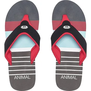 Animal Jekyl Swim Red, 44-45