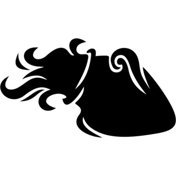 Samolepicí dekorace na vozidlo Samolepka znamení vodnář na auto a motorku, tuning nálepka (3787)