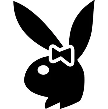 Samolepicí dekorace na vozidlo Samolepka playgirl na auto a motorku, tuning nálepka (4843)