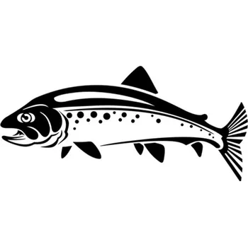 Samolepicí dekorace na vozidlo Samolepka pstruh na auto a motorku, tuning nálepka (4796)