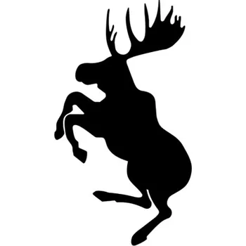 Samolepicí dekorace na vozidlo Samolepka los na auto a motorku, tuning nálepka (4650)