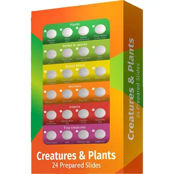 Podložní sklíčko k mikroskopu Levenhuk LabZZ CP24