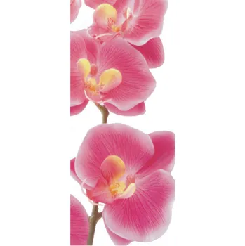 Fototapeta FTN V 2826 Vliesová fototapeta dveřní Pink orchid, velikost 90 x 202 cm